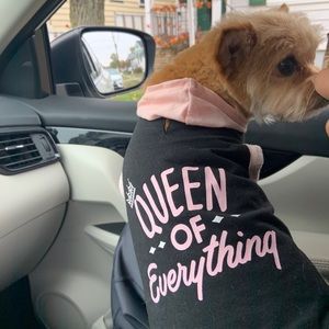 Meet your Posher, JA